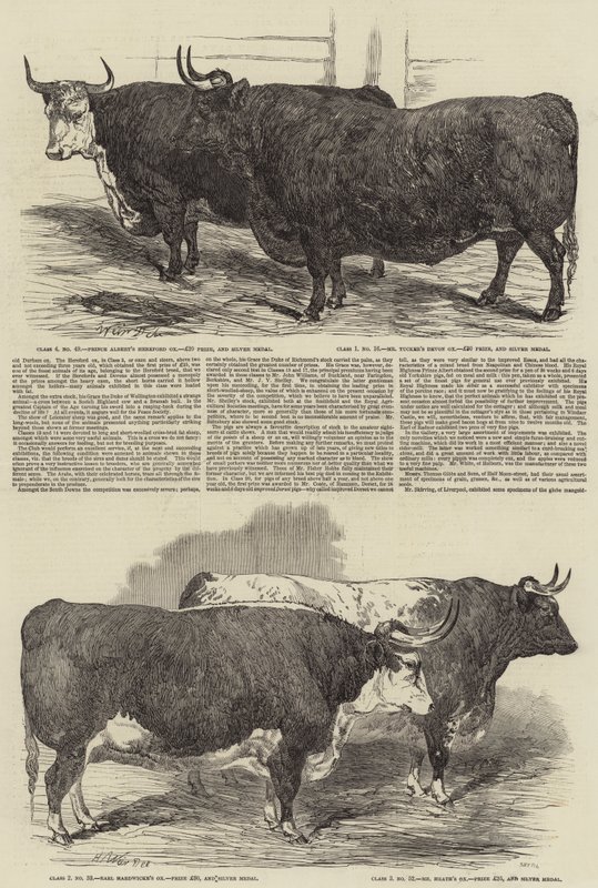 Die jährliche Ausstellung des Smithfield Clubs von Harrison William Weir