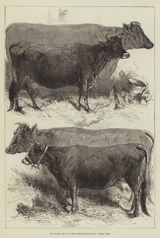 Die Milchausstellung in der Landwirtschaftshalle, Preiskühe von Harrison William Weir