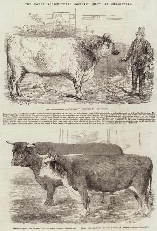 Die Ausstellung der Royal Agricultural Society in Chelmsford von Harrison William Weir