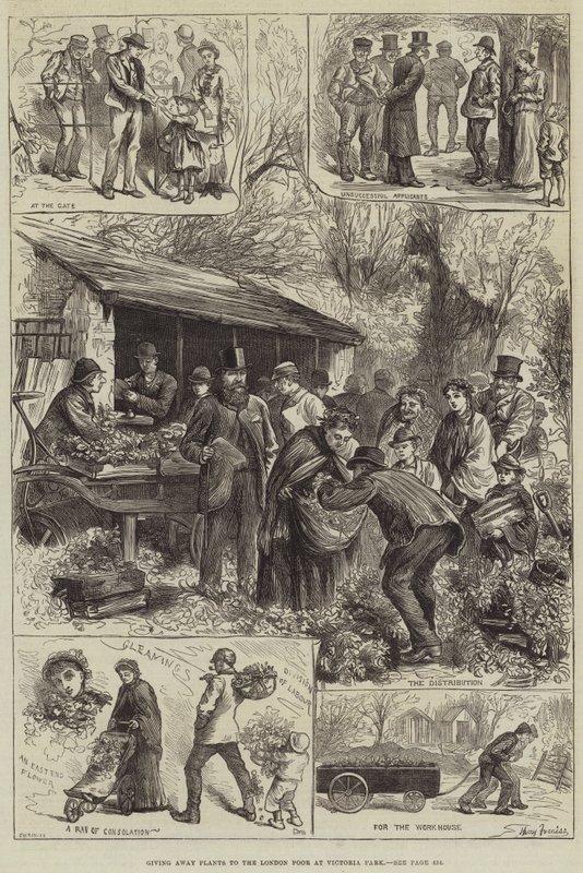 Pflanzen an die Armen von London im Victoria Park verteilen von Harry Furniss