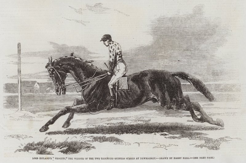 Lord Zetlands Vedette, der Gewinner der Zweitausend-Guineas-Rennen in Newmarket von Harry Hall
