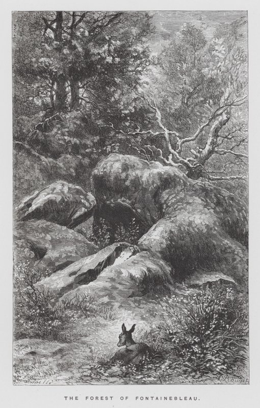 Das Insekt: Der Wald von Fontainebleau von Hector Giacomelli