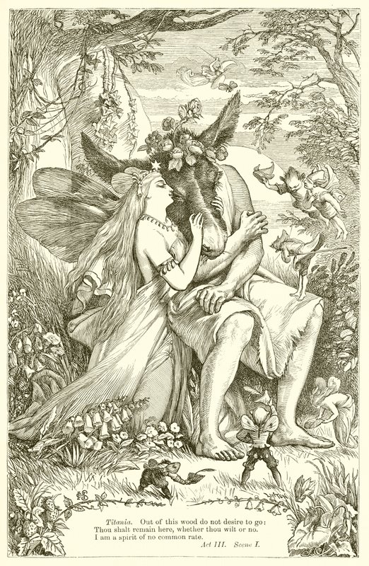 Ein Sommernachtstraum von Henry Courtney Selous