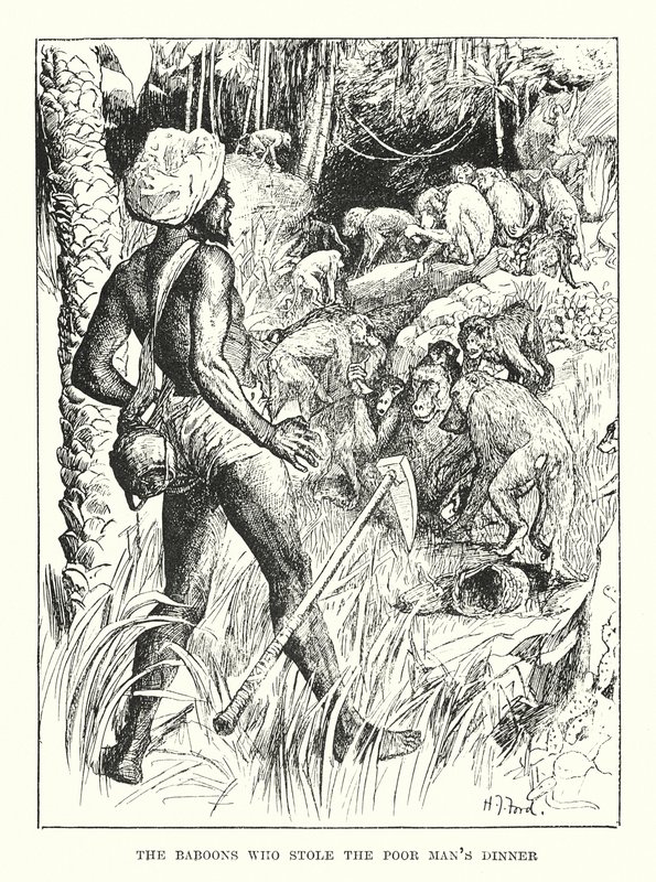Die Paviane, die dem armen Mann das Abendessen stahlen (Gravur) von Henry Justice Ford