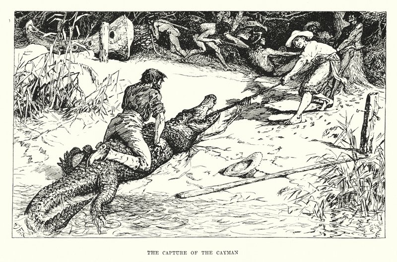 Die Gefangennahme des Kaimans von Henry Justice Ford