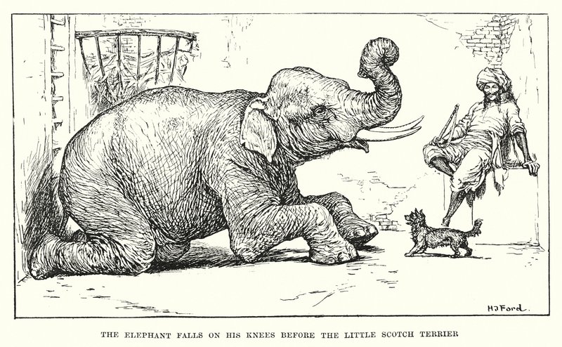 Der Elefant fällt vor dem kleinen schottischen Terrier auf die Knie von Henry Justice Ford