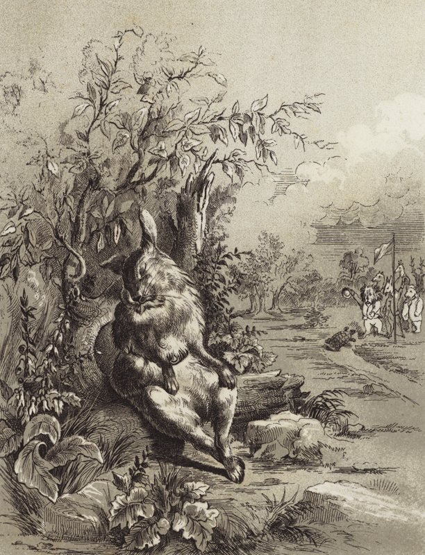 Die Fabeln des Äsop: Der Hase und die Schildkröte (Lithografie) von Henry Louis Stephens