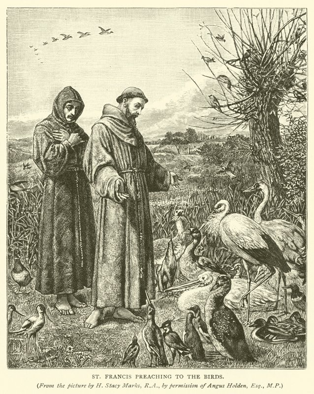 St. Franziskus predigt den Vögeln von Henry Stacey Marks