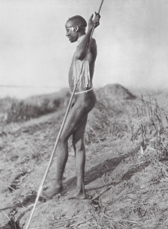 Afrika: Nördliche Dinka vom Weißen Nil von Hugo Adolf Bernatzik