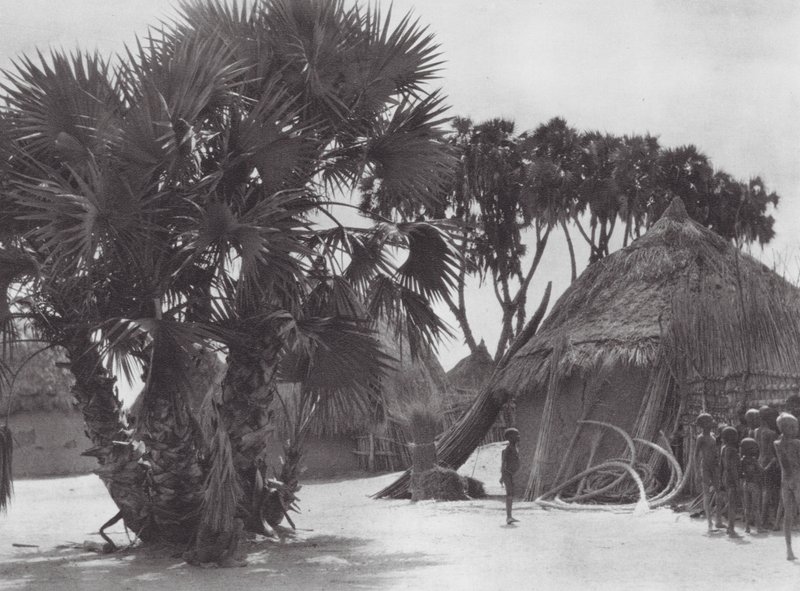 Afrika: Shilluk-Dorf am Weißen Nil von Hugo Adolf Bernatzik