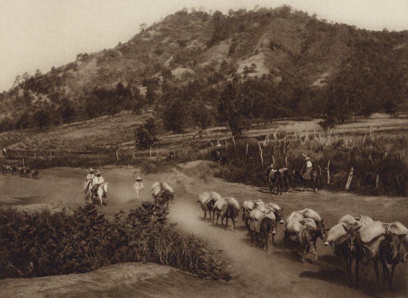 Mexiko: Transportkolonne im Landesinneren von Hugo Brehme