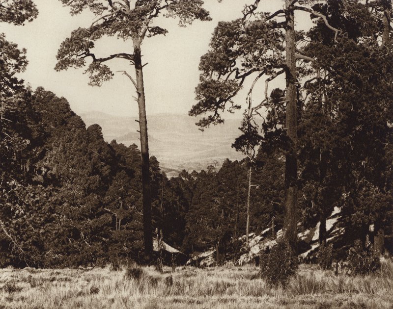Mexiko: Wildes Panorama am Fuße des Pico de Orizaba von Hugo Brehme