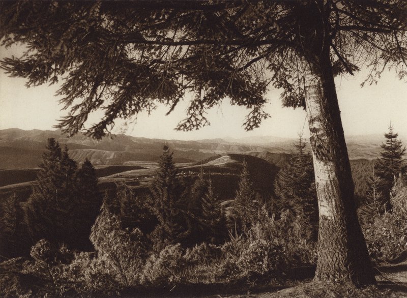 Mexiko: Nationalpark, Wüste der Löwen von Hugo Brehme