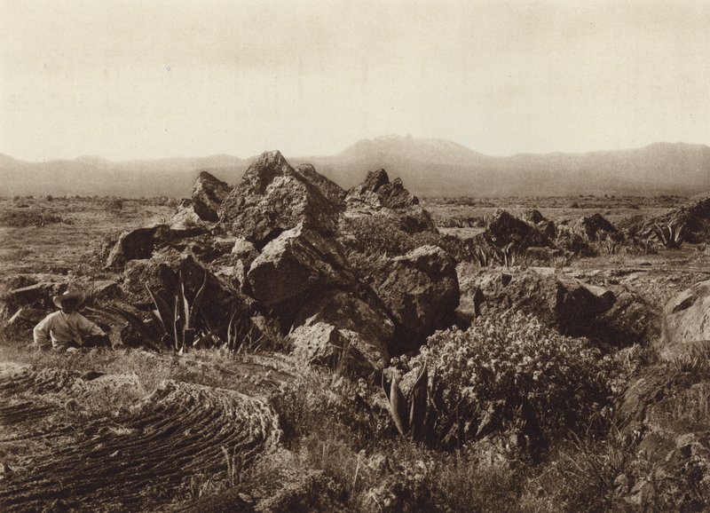 Mexiko: Pedregal, Basalt-Lavastrom nahe San Angel von Hugo Brehme