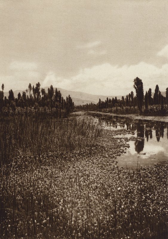 Mexiko: Xochimilco, Einer der Hauptkanäle von Hugo Brehme