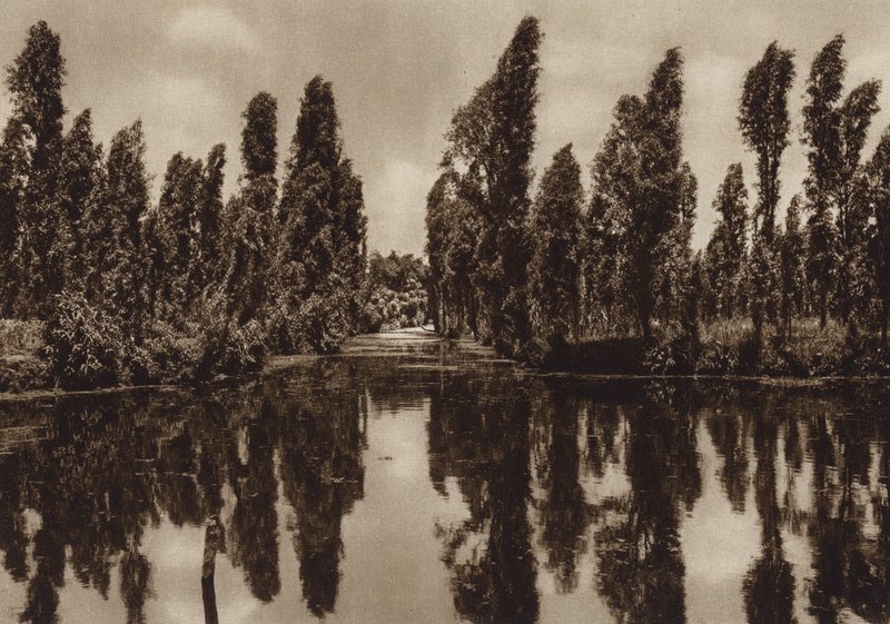 Mexiko: Xochimilco mit den sogenannten "Schwimmenden Gärten" von Hugo Brehme