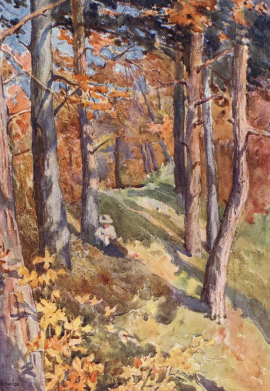 Im Wald von Sauvabelin, oberhalb von Lausanne von J. Hardwicke Lewis