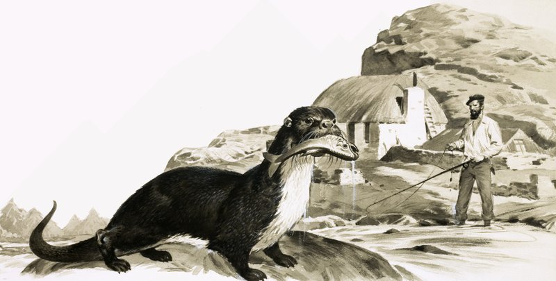 Otter mit Fisch und Mann beim Angeln von James Edwin McConnell