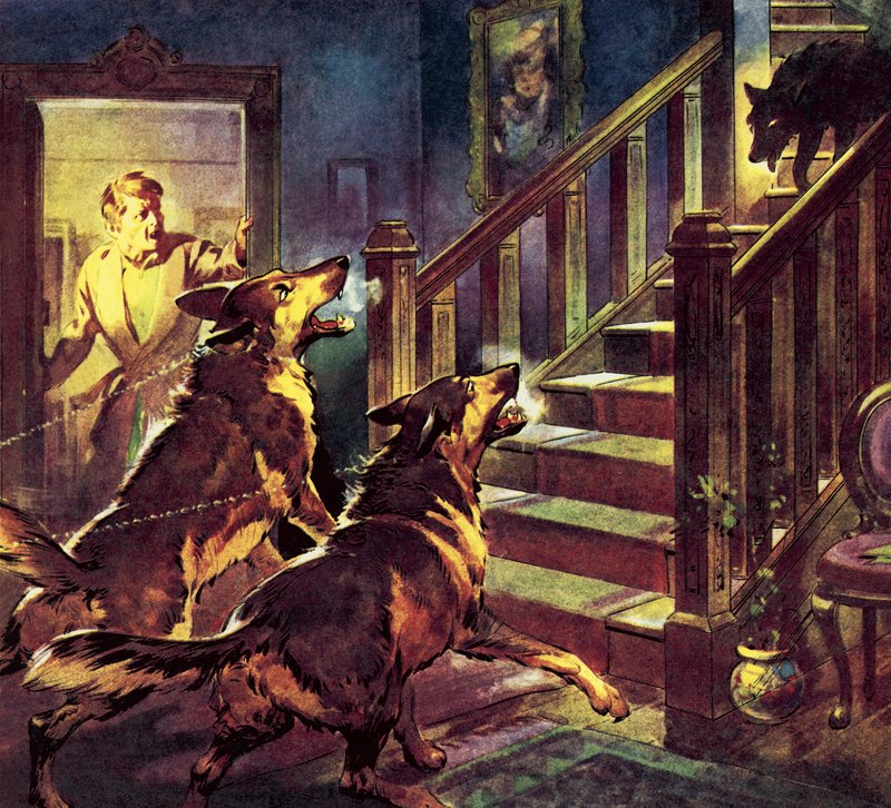 Der Geist des schwarzen Hundes von James Edwin McConnell