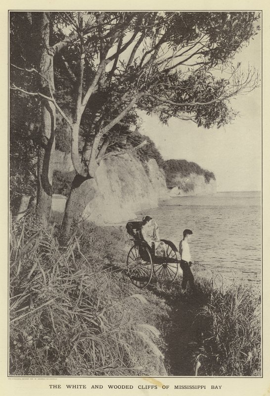 Die weißen und bewaldeten Klippen der Mississippi-Bucht von Japanese Photographer