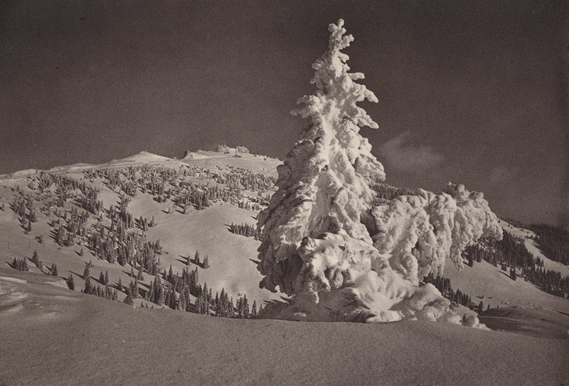 Rigi Kaltbad, Skigebiet bis Rigi Kulm von Jean Gaberell
