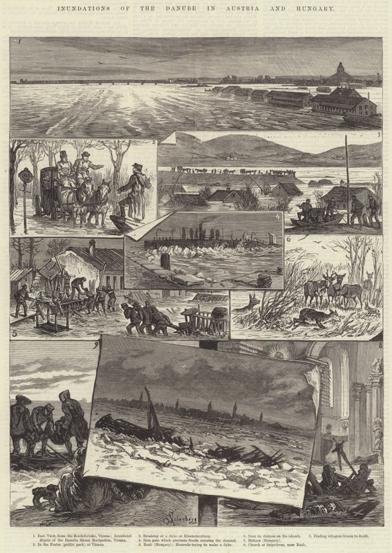 Überschwemmungen der Donau in Österreich und Ungarn von Johann Nepomuk Schonberg