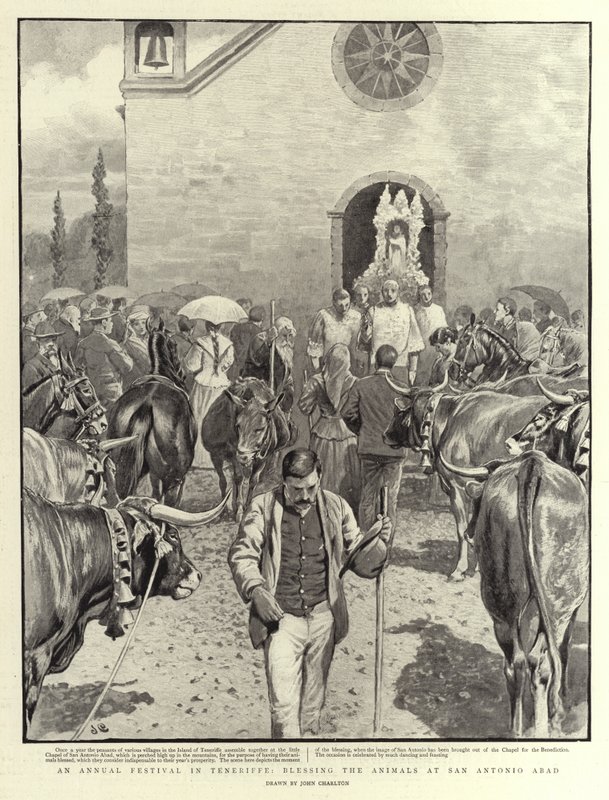 Ein jährliches Fest auf Teneriffa, Segnung der Tiere in San Antonio Abad von John Charlton