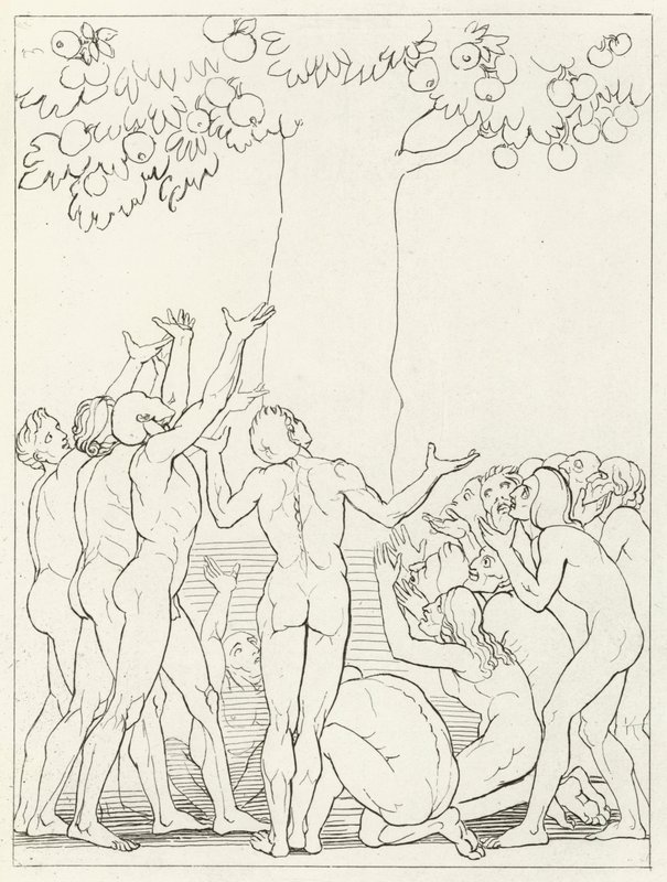 Die Unmäßigen, Fegefeuer, Gesang 24 (Gravur) von John (after) Flaxman