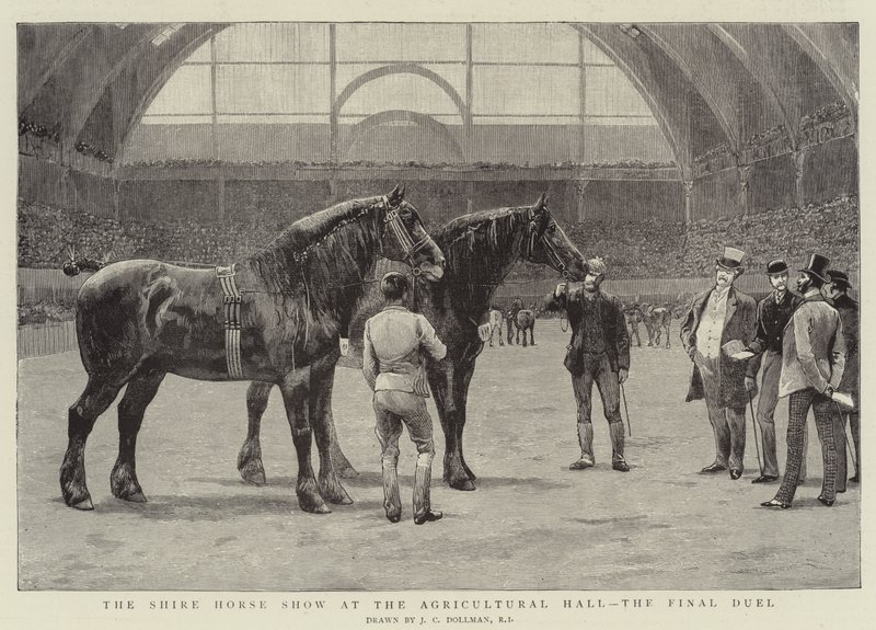 Die Shire Horse Show in der Agricultural Hall, das letzte Duell von John Charles Dollman