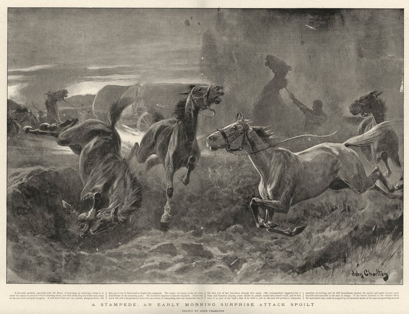Eine Stampede, ein frühmorgendlicher Überraschungsangriff vereitelt von John Charlton
