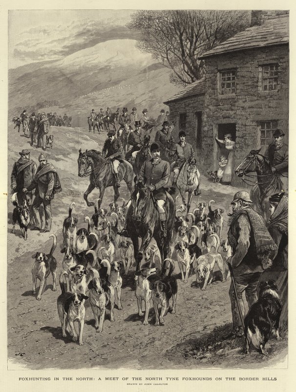 Fuchsjagd im Norden, ein Treffen der North Tyne Foxhounds in den Border Hills von John Charlton