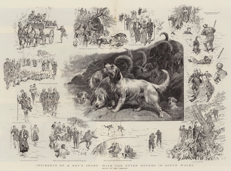 Ereignisse eines Tages mit den Otterhunden in Südwales von John Charlton