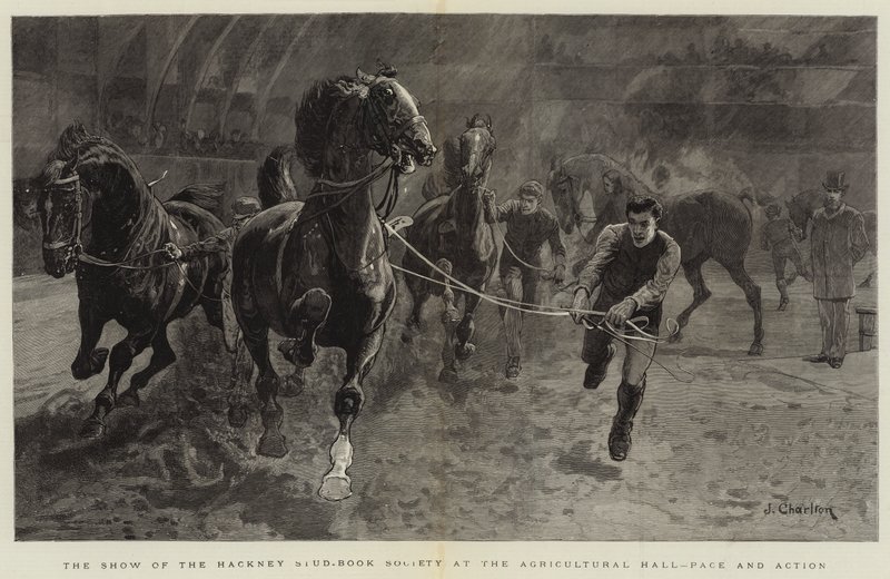 Die Schau der Hackney Stud-Book Society in der Landwirtschaftshalle, Tempo und Aktion von John Charlton