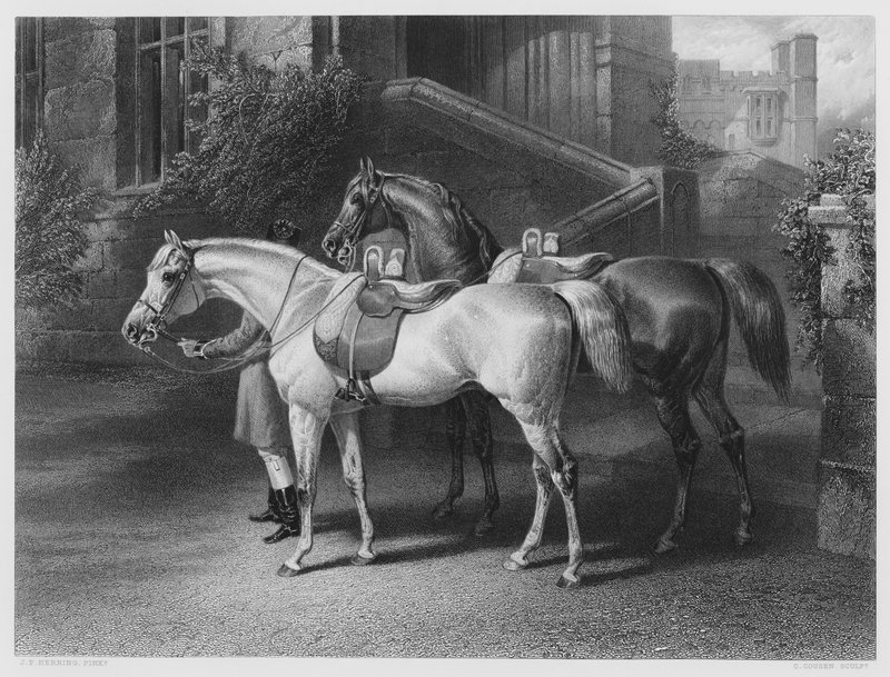 Die Pferde der Königin von John Frederick Jr. Herring