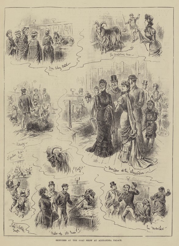 Skizzen auf der Ziegenschau im Alexandra Palace von John Jellicoe