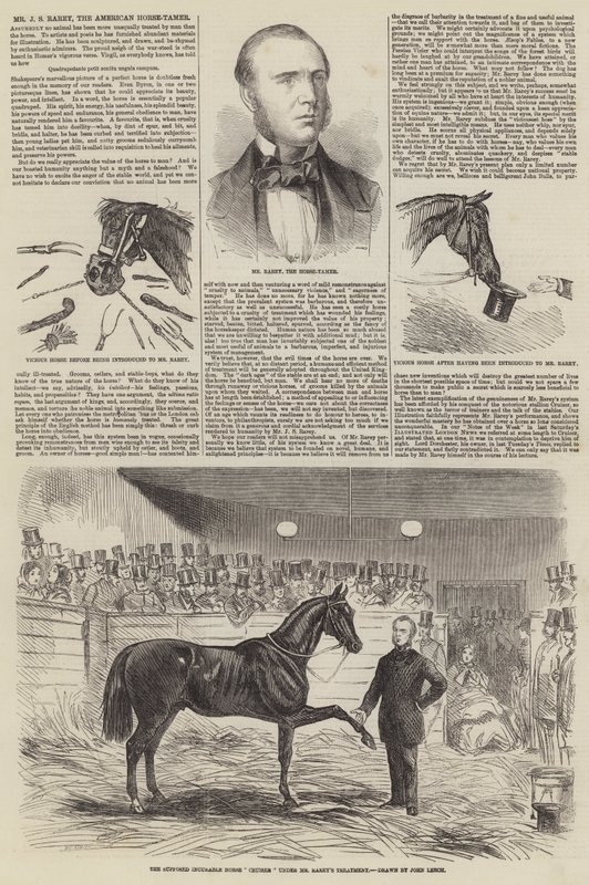 Mr. J. S. Rarey, der amerikanische Pferdebändiger von John Leech