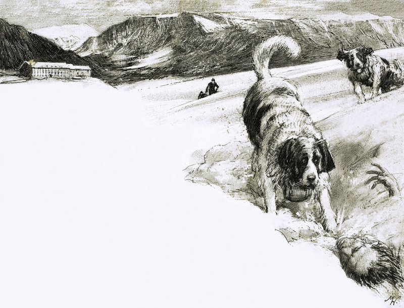 So ist das... Diese Berghunde werden St. Bernhardshunde genannt von John Millar Watt
