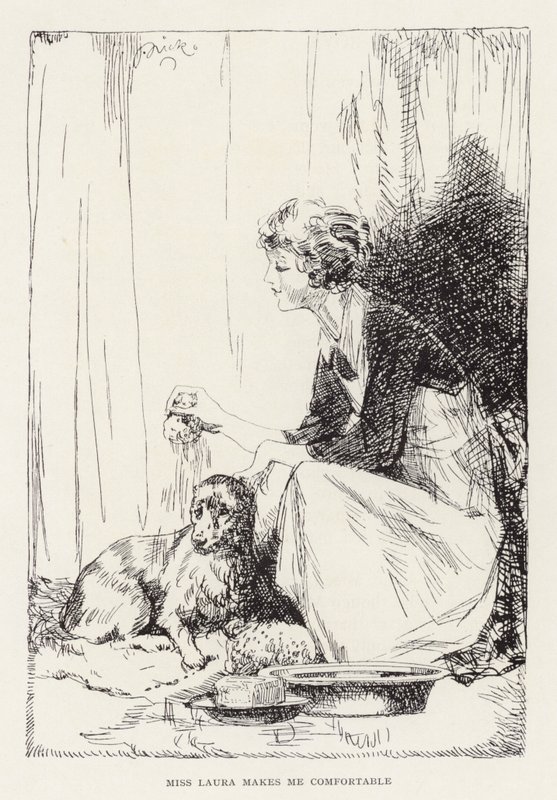 Illustration für Beautiful Joe von Marshall Saunders von John Nicholson