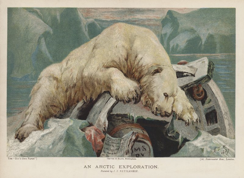 Eine Arktis-Expedition: ein Eisbär untersucht Gegenstände einer Arktis-Expedition von John Trivett Nettleship