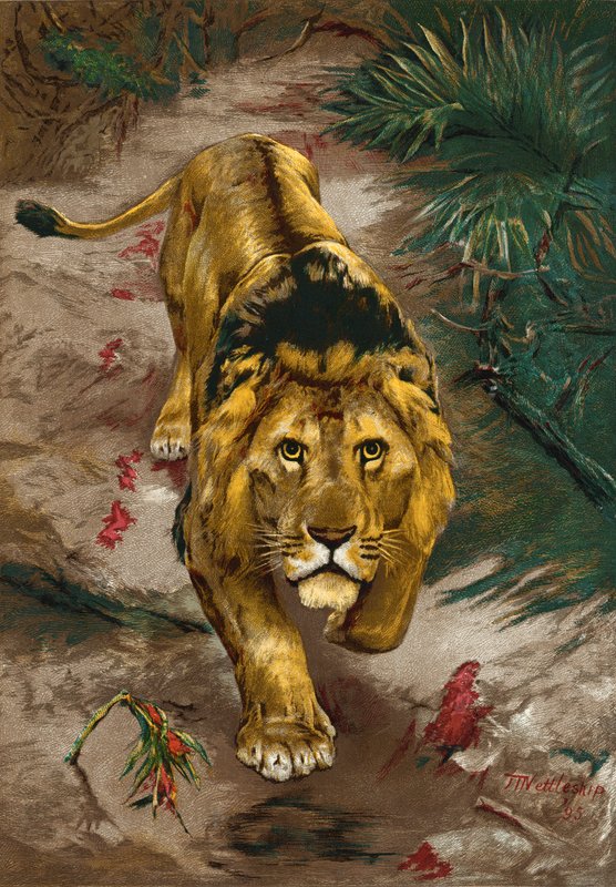 Die Blutspur von John Trivett Nettleship