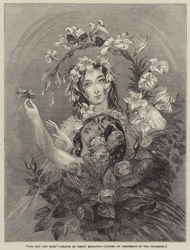 Die Lilie und die Rose von Joseph Kenny Meadows