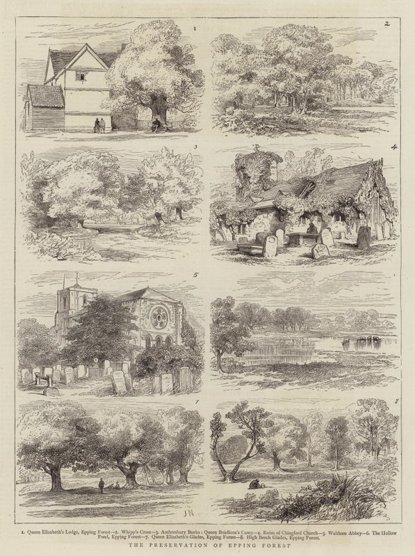 Die Erhaltung des Epping Forest von Joseph Nash