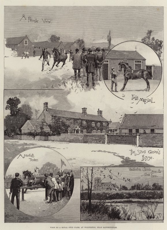 Besuch auf einem königlichen Gestüt, in Wolferton, in der Nähe von Sandringham von Joseph Holland Tringham