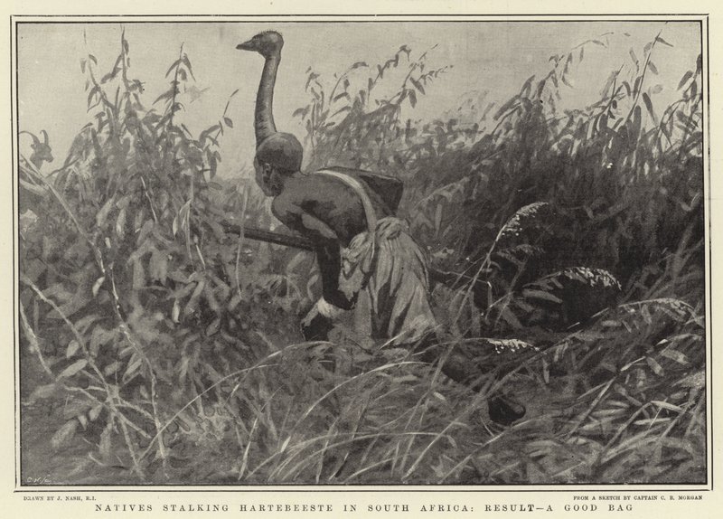 Einheimische pirschen Hartebeeste in Südafrika, Ergebnis: Eine gute Beute von Joseph Nash