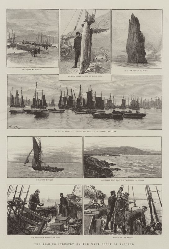 Die Fischereiindustrie an der Westküste Irlands von Joseph Nash