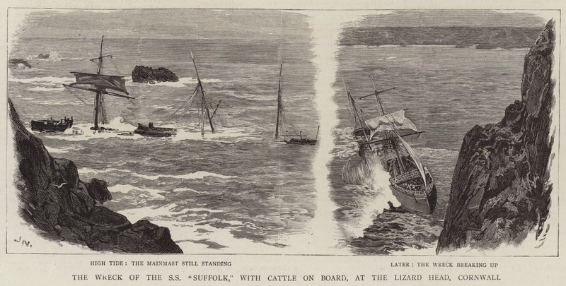 Das Wrack der SS Suffolk mit Rindern an Bord am Lizard Head, Cornwall von Joseph Nash