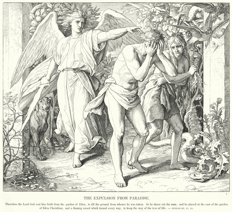 Die Vertreibung aus dem Paradies (Gravur) von Julius (after) Schnorr von Carolsfeld