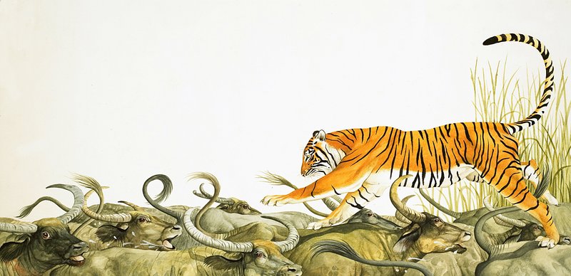 Ein Tiger rennt über die Rücken von Büffeln von Kenneth Lilly
