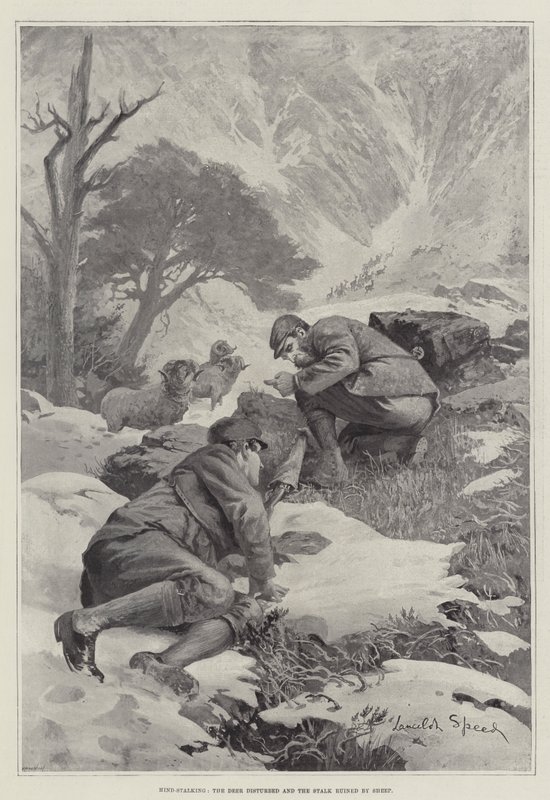 Hind-Stalking, das Wild gestört und die Pirsch durch Schafe ruiniert von Lancelot Speed