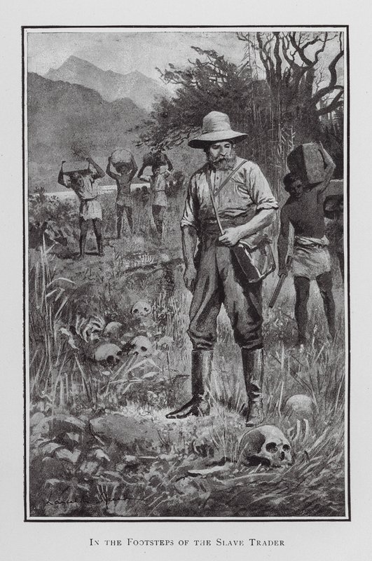 Auf den Spuren des Sklavenhändlers von Lancelot Speed
